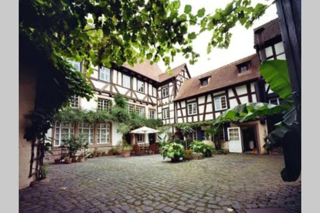 Historischer Adelshof Am Marktplatz, Atelier 70 M² Weinheim Dış mekan fotoğraf