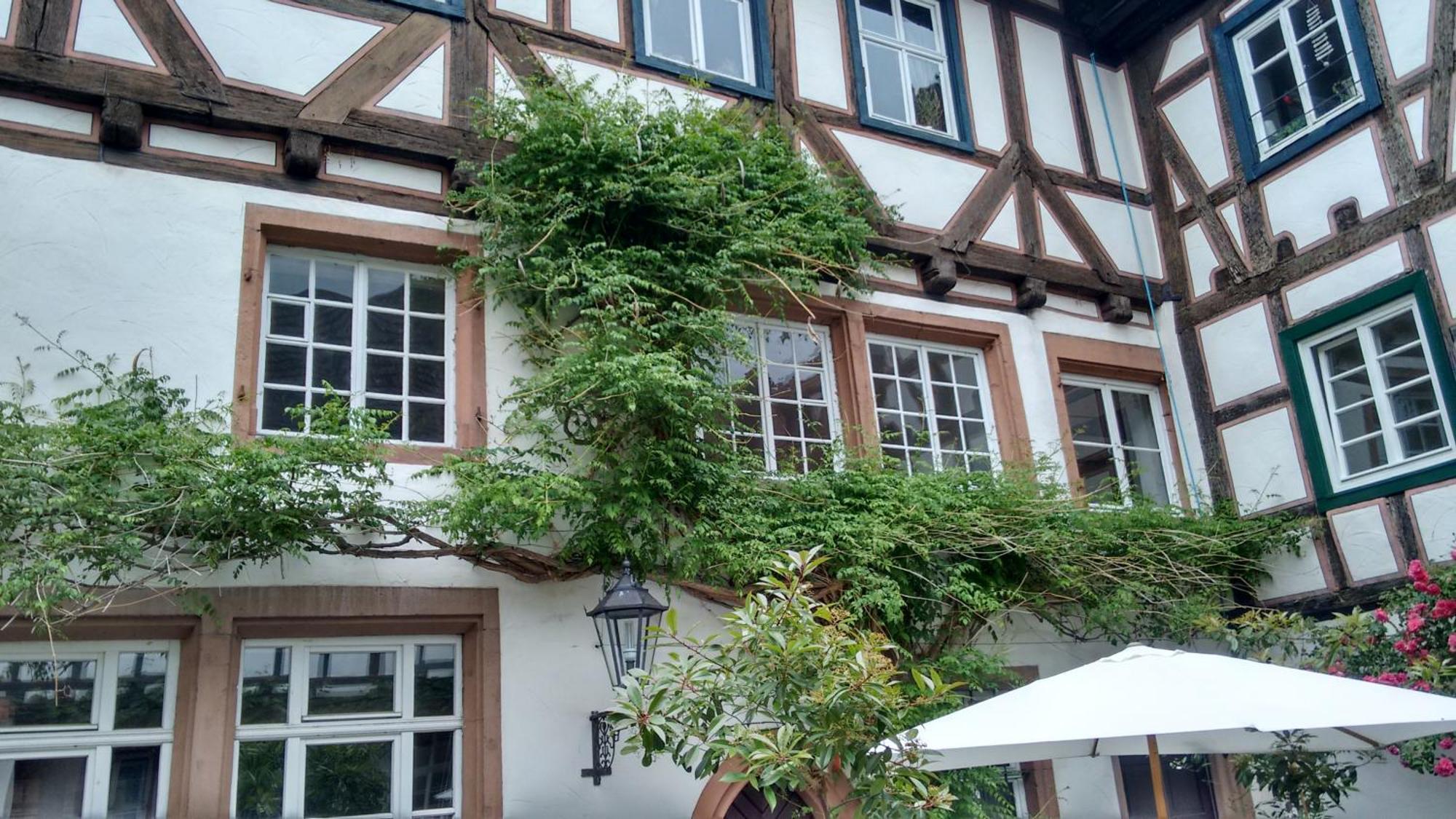Historischer Adelshof Am Marktplatz, Atelier 70 M² Weinheim Dış mekan fotoğraf